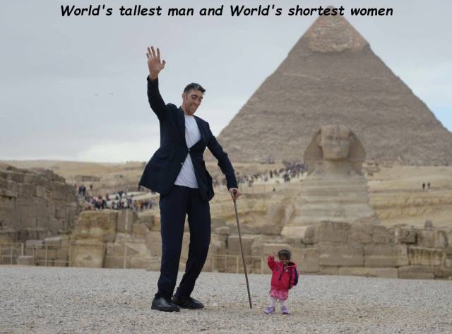 Daily Picdump [WEEKEND EDITION]