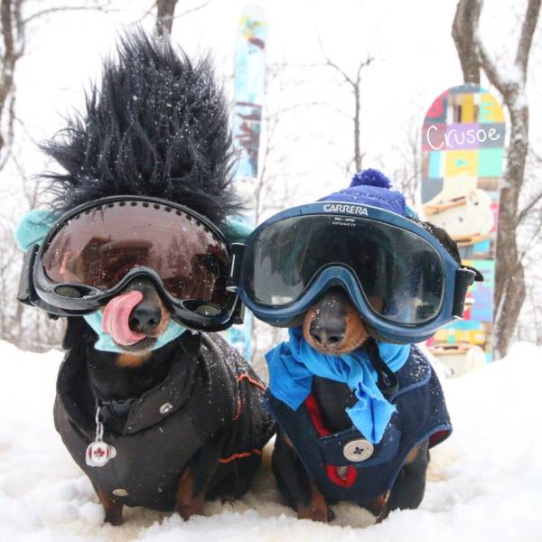 Daily Picdump