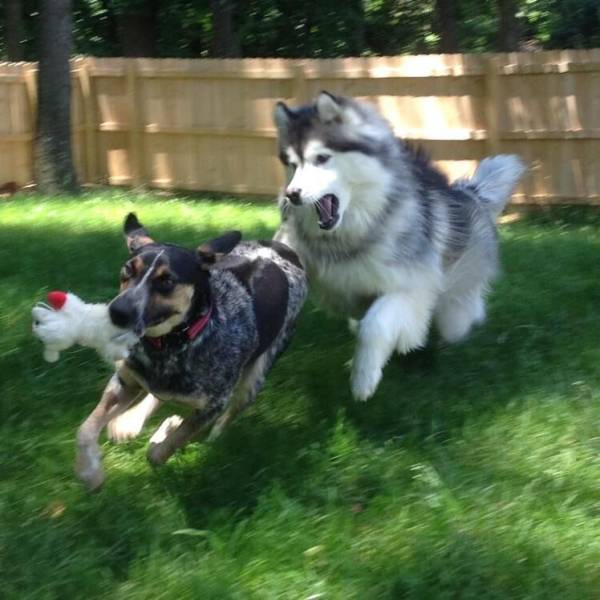 daily picdump 97 pics 8.html - 97 HD Photos | Premium Gallery 2018