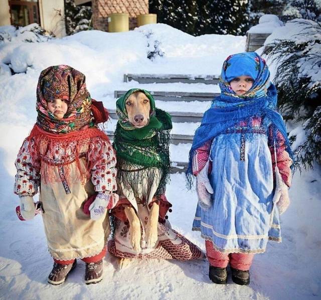 daily picdump 97 pics 8.html - 97 HD Photos | Premium Gallery 2018