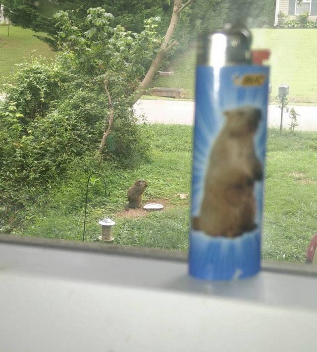 daily picdump 97 pics 8.html - 97 HD Photos | Premium Gallery 2018