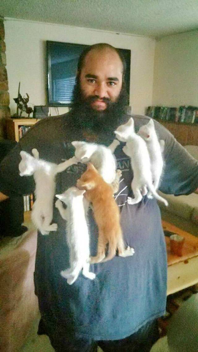 daily picdump 97 pics 8.html - 97 HD Photos | Premium Gallery 2018