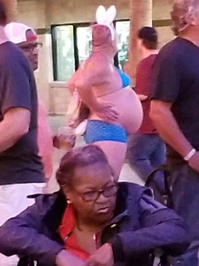 Hard-to-explain WTF Photos