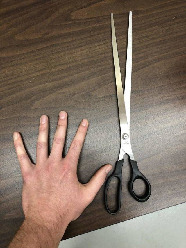 Hard-to-explain WTF Photos