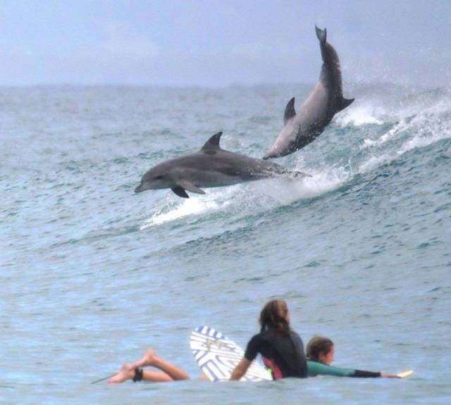 Daily Picdump