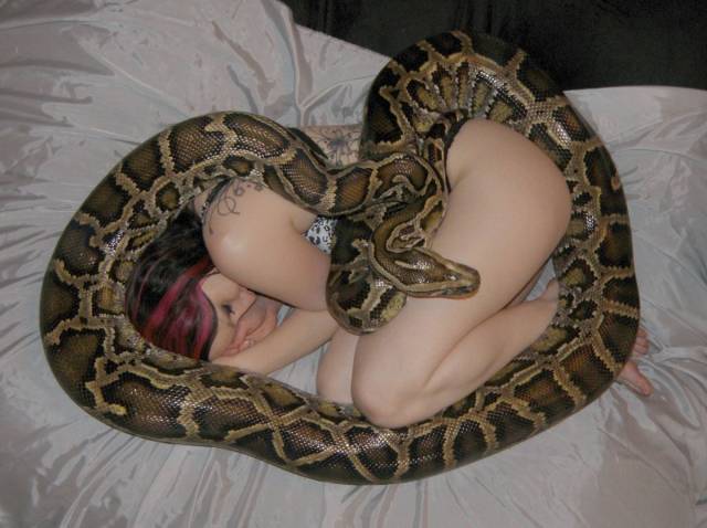 Daily Picdump