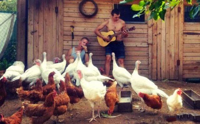 daily picdump 94 pics 14.html - 94 HD Photos | Premium Gallery 2018