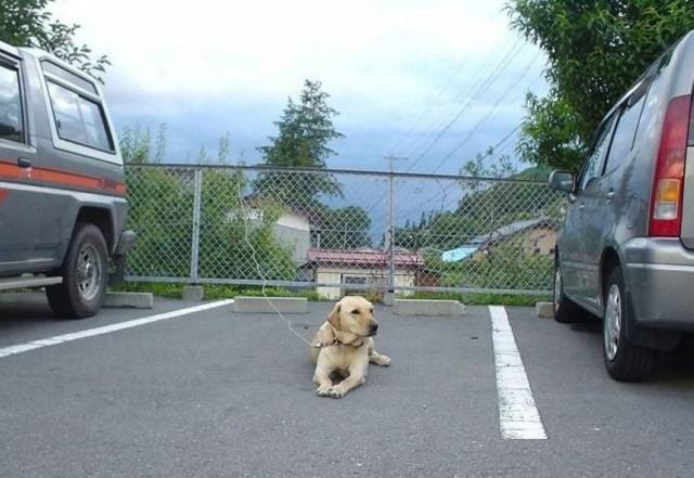 daily picdump 94 pics 14.html - 94 HD Photos | Premium Gallery 2018