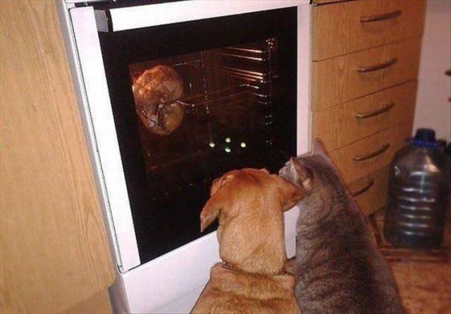daily picdump 94 pics 14.html - 94 HD Photos | Premium Gallery 2018
