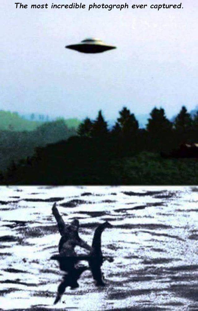 Daily Picdump
