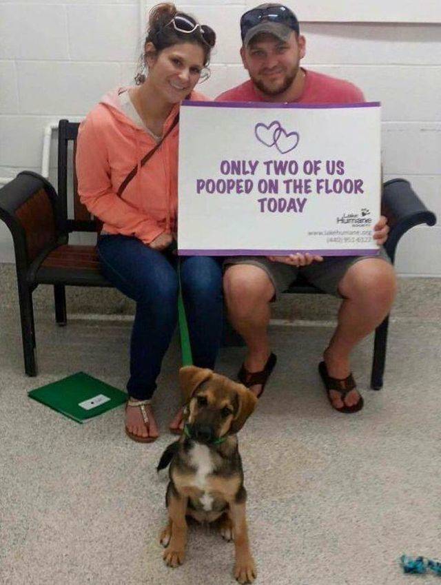 daily picdump 94 pics 14.html - 94 HD Photos | Premium Gallery 2018