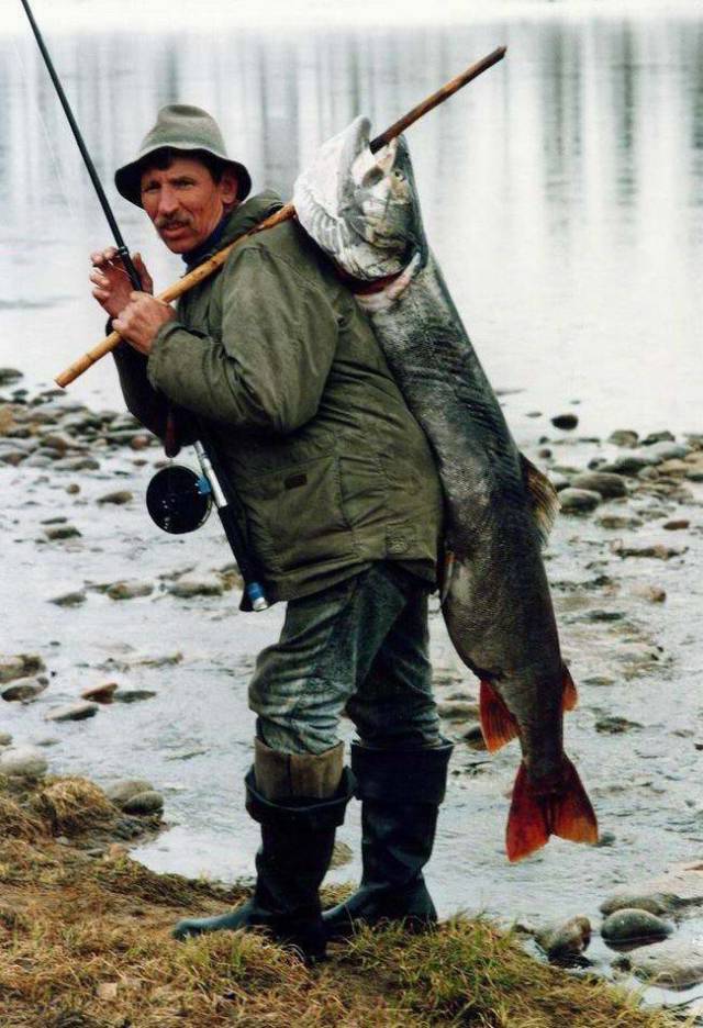daily picdump 94 pics 14.html - 94 HD Photos | Premium Gallery 2018