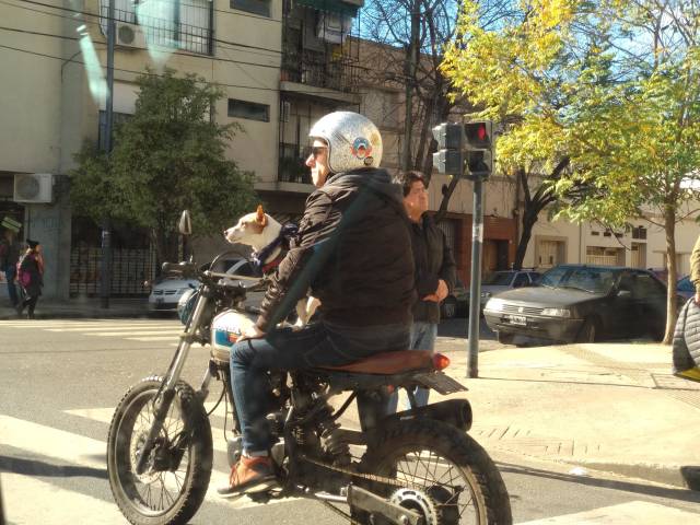 morning picdump 50 pics 9.html - 50 HD Photos | Premium Gallery 2018