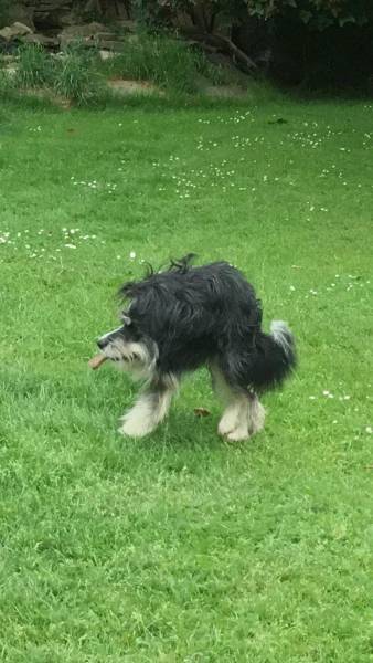 When Your Fail Is Beyond The Point Of Recovery