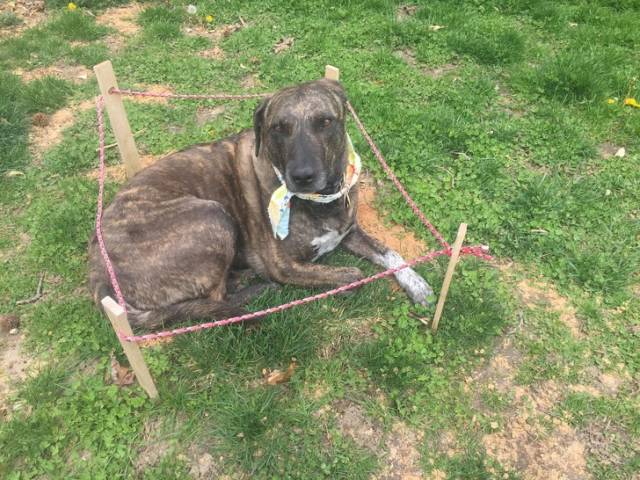 When Your Fail Is Beyond The Point Of Recovery