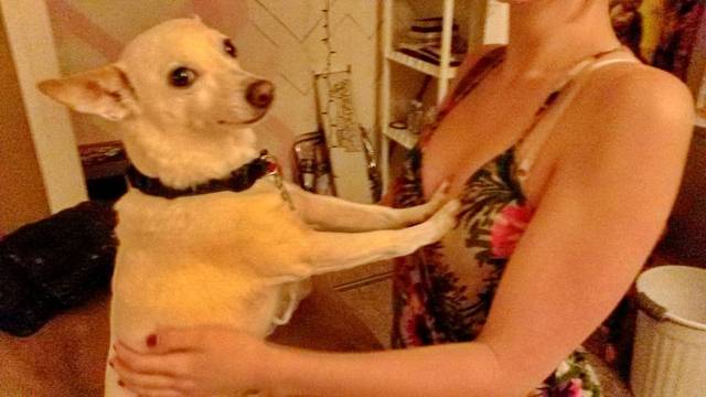 daily picdump 96 pics 35.html - 96 HD Photos | Premium Gallery 2018