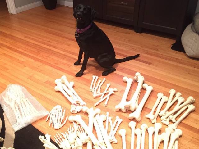 daily picdump 96 pics 35.html - 96 HD Photos | Premium Gallery 2018