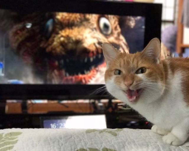 daily picdump 96 pics 35.html - 96 HD Photos | Premium Gallery 2018