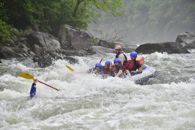 daily picdump 96 pics 35.html - 96 HD Photos | Premium Gallery 2018