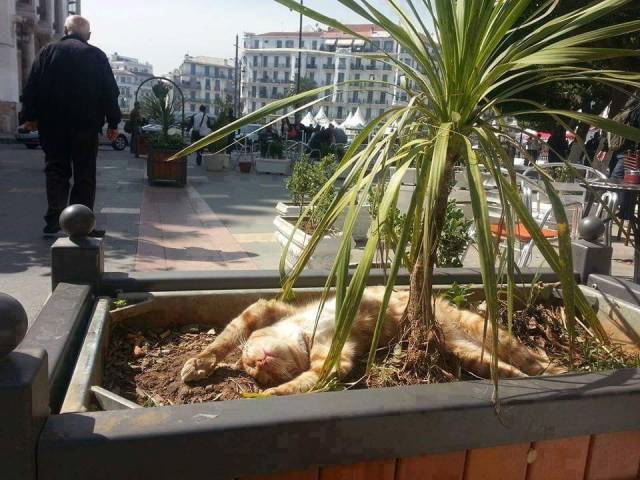 daily picdump 96 pics 35.html - 96 HD Photos | Premium Gallery 2018