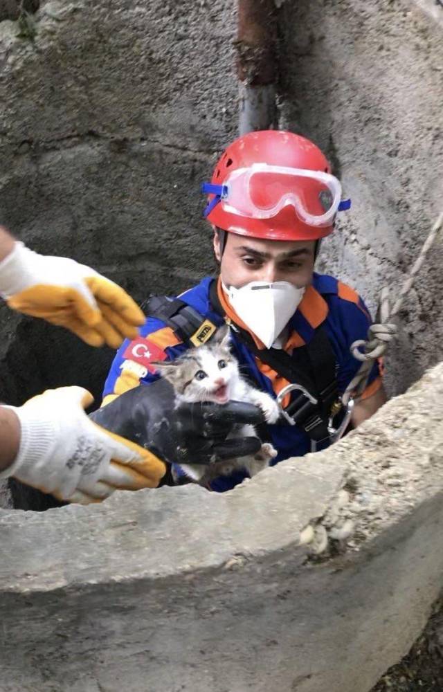 daily picdump 96 pics 35.html - 96 HD Photos | Premium Gallery 2018