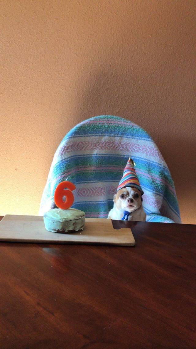 daily picdump 96 pics 35.html - 96 HD Photos | Premium Gallery 2018