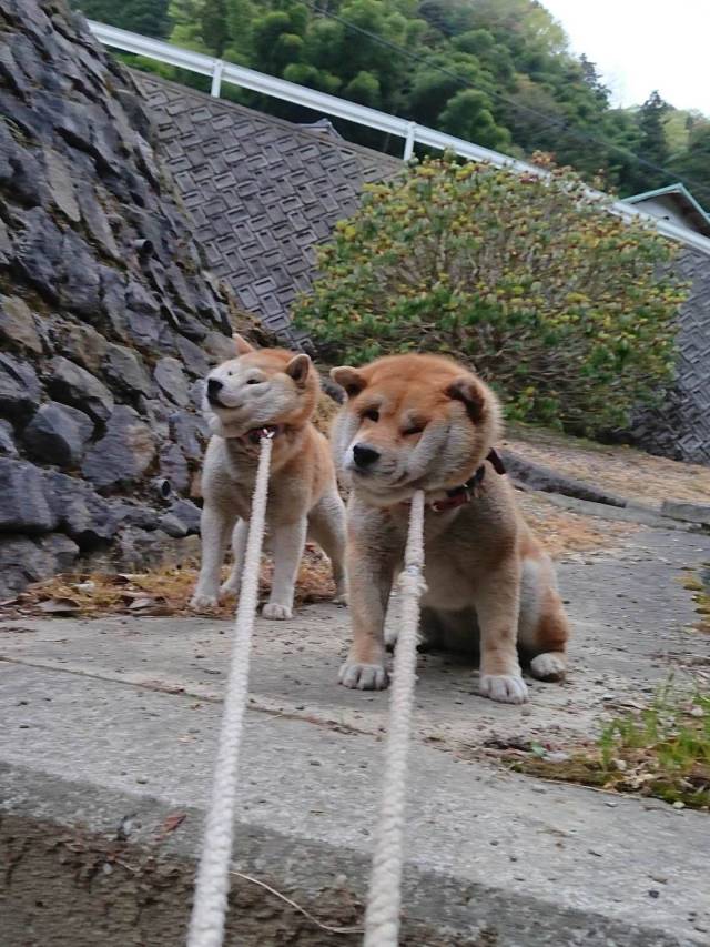 daily picdump 96 pics 35.html - 96 HD Photos | Premium Gallery 2018