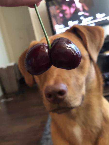 morning picdump 49 pics 18.html - 49 HD Photos | Premium Gallery 2018