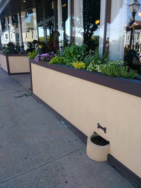 morning picdump 49 pics 18.html - 49 HD Photos | Premium Gallery 2018