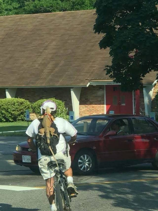 morning picdump 49 pics 18.html - 49 HD Photos | Premium Gallery 2018