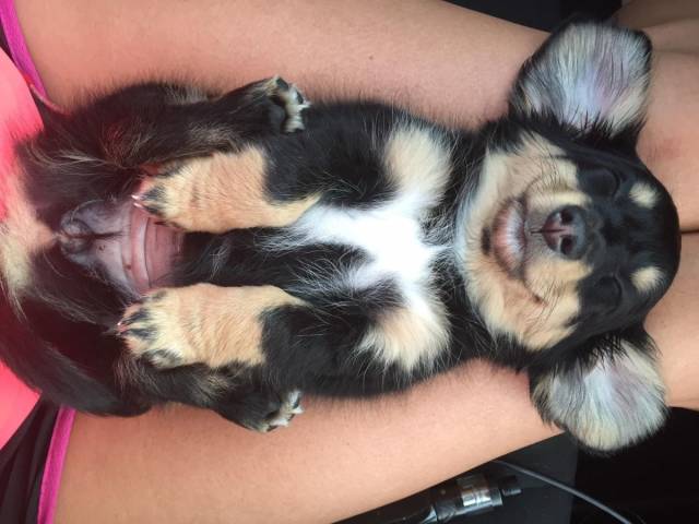 daily picdump 92 pics 37.html - 92 HD Photos | Premium Gallery 2018