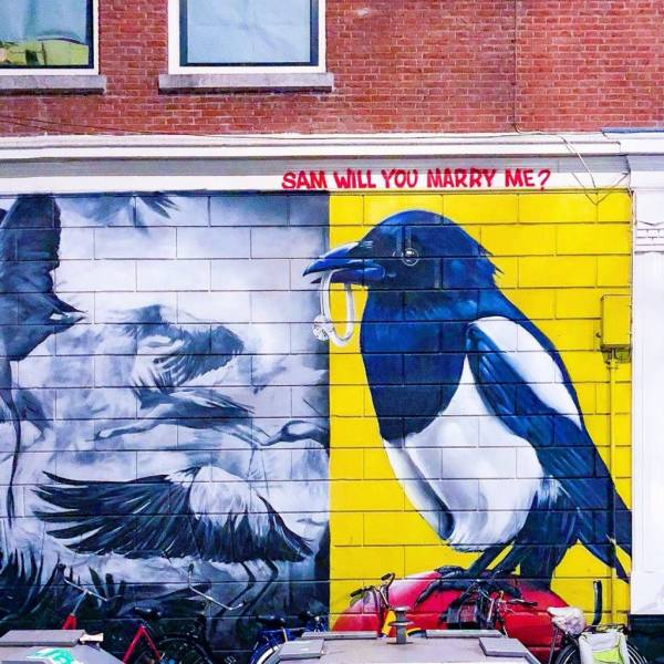 daily picdump 92 pics 37.html - 92 HD Photos | Premium Gallery 2018