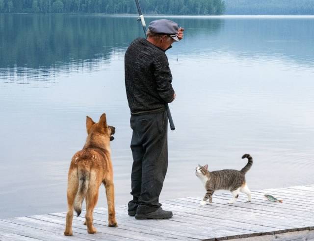 daily picdump 92 pics 37.html - 92 HD Photos | Premium Gallery 2018