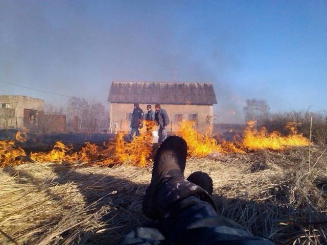 daily picdump 92 pics 37.html - 92 HD Photos | Premium Gallery 2018