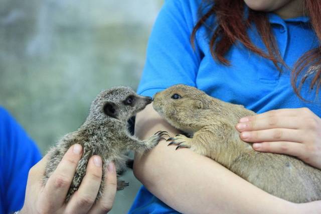 daily picdump 92 pics 37.html - 92 HD Photos | Premium Gallery 2018