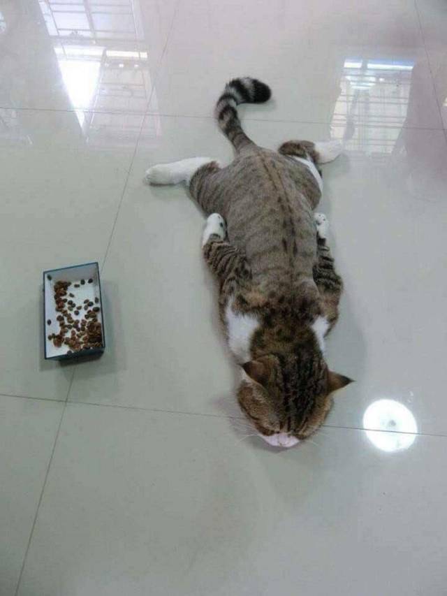 daily picdump 92 pics 37.html - 92 HD Photos | Premium Gallery 2018