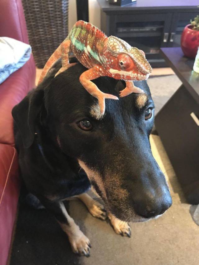 daily picdump 92 pics 37.html - 92 HD Photos | Premium Gallery 2018