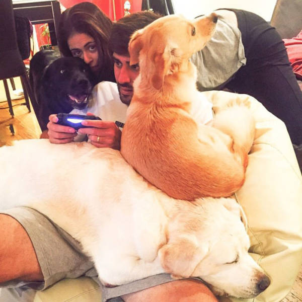 funny picdump 50 pics 14.html - 50 HD Photos | Premium Gallery 2018