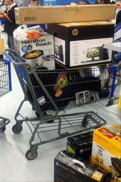 funny picdump 50 pics 14.html - 50 HD Photos | Premium Gallery 2018