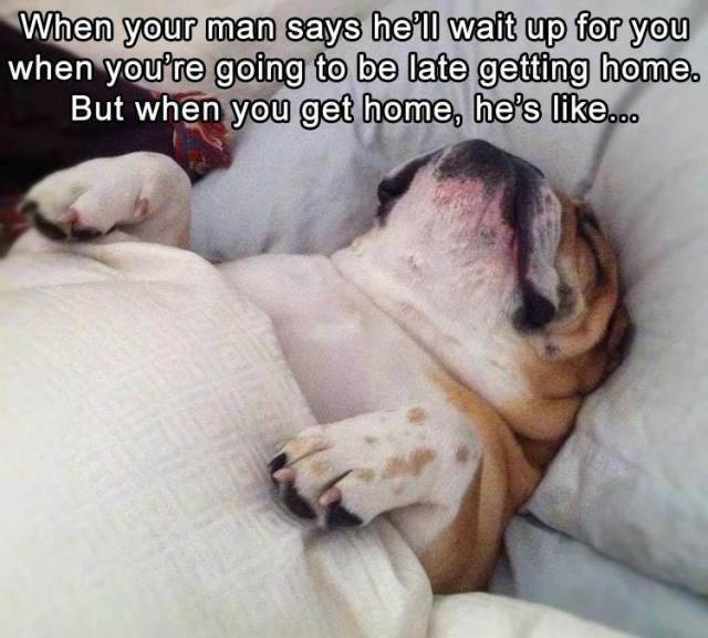 funny picdump 50 pics 14.html - 50 HD Photos | Premium Gallery 2018