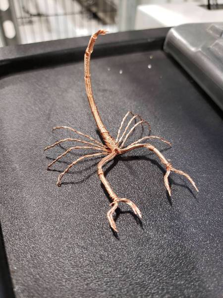 morning picdump 54 pics 24.html - 54 HD Photos | Premium Gallery 2018