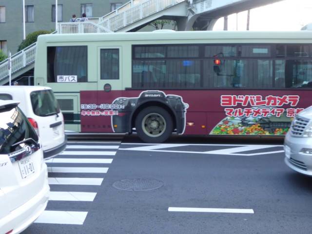 morning picdump 54 pics 24.html - 54 HD Photos | Premium Gallery 2018