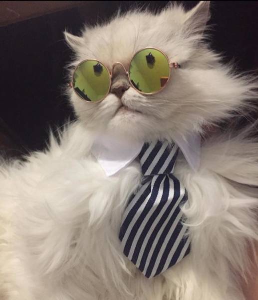 morning picdump 54 pics 24.html - 54 HD Photos | Premium Gallery 2018