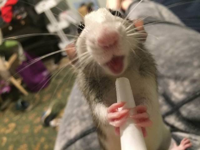 morning picdump 55 pics 18.html - 55 HD Photos | Premium Gallery 2018