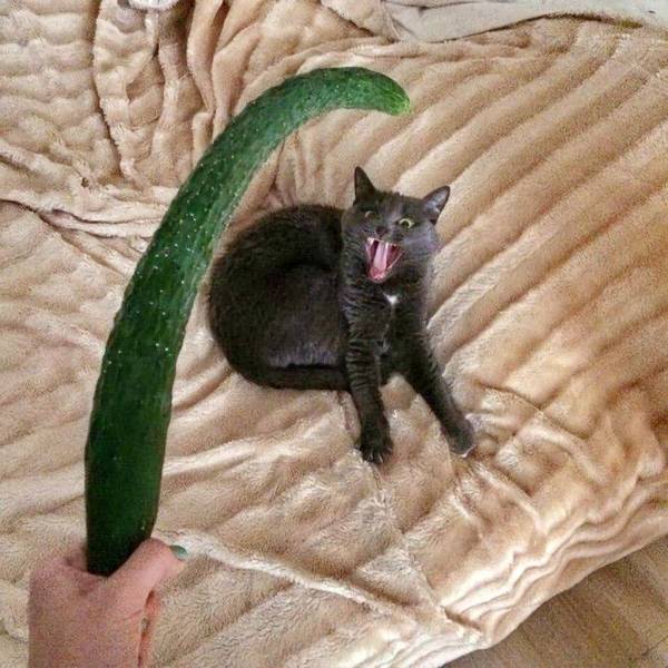 morning picdump 55 pics 18.html - 55 HD Photos | Premium Gallery 2018