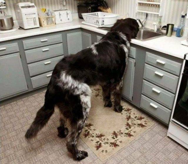 morning picdump 55 pics 18.html - 55 HD Photos | Premium Gallery 2018