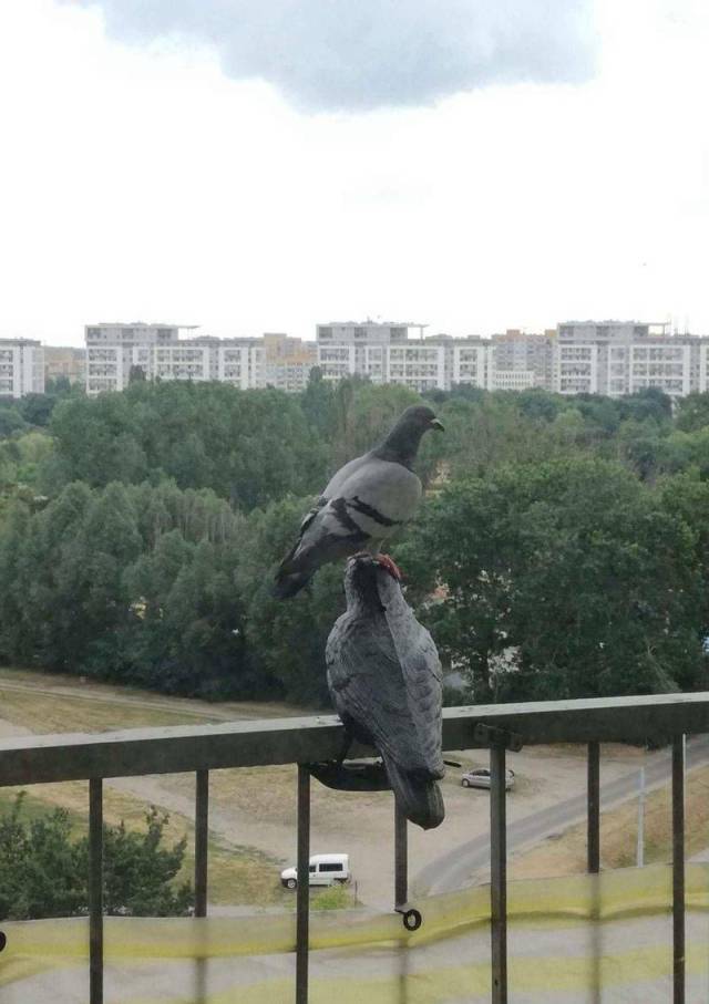 morning picdump 55 pics 18.html - 55 HD Photos | Premium Gallery 2018