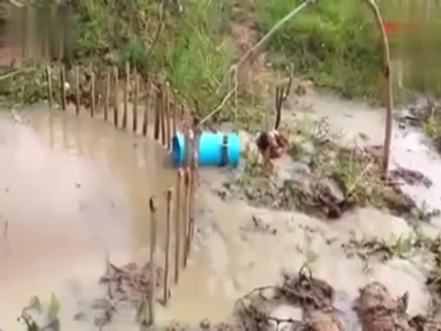 top 50 videos of the year 2018.html - 1 HD Video | Premium Gallery 2018