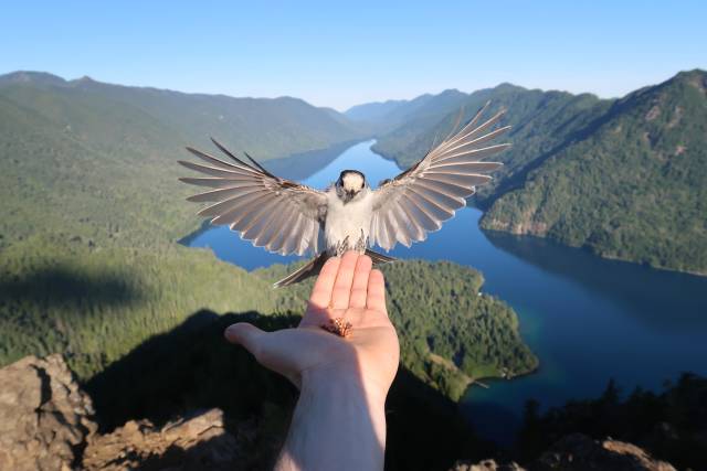 Daily Picdump [WEEKEND EDITION]