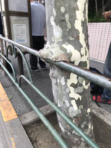 Daily Picdump [WEEKEND EDITION]